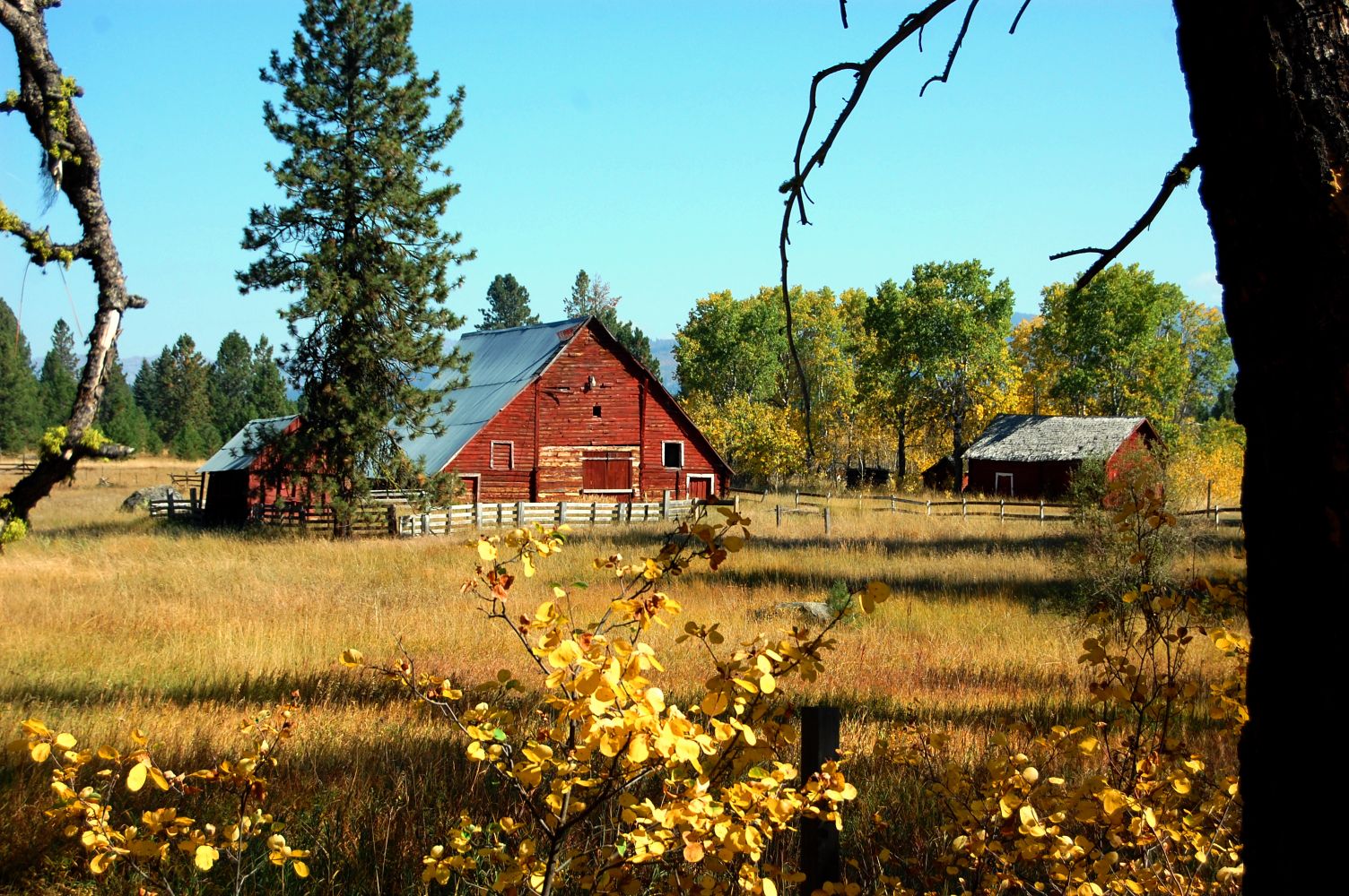 Barn